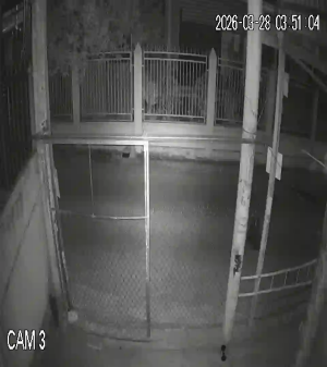 Caméra IP - Vietnam