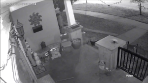 Caméra IP - Vereinigte Staaten von Amerika