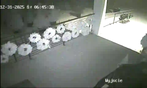 Caméra IP - Polonia