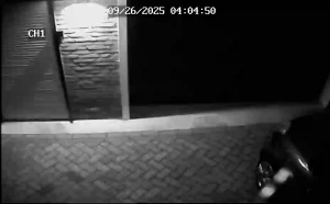 Caméra IP - Netherlands