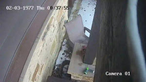 Caméra IP - États-Unis d'Amérique