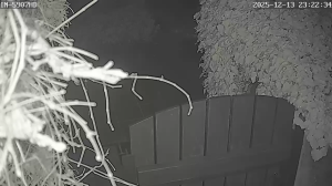 Caméra IP - Allemagne