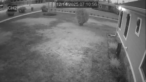 Caméra IP - United States of America