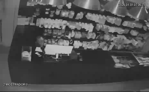 Caméra IP - Spanien