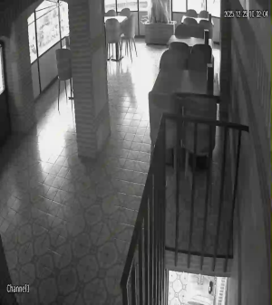 Caméra IP - Türkiye