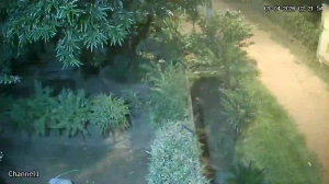 Caméra IP - Paraguay