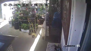 Caméra IP - Australie