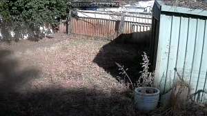 Caméra IP - Australien