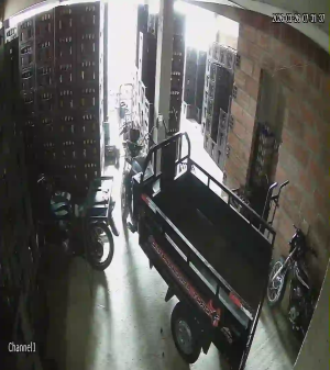 Caméra IP - Colombia