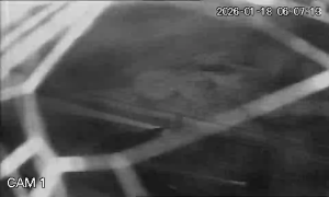 Caméra IP - Portugal