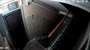 Caméra IP - Russische Föderation