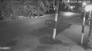 Caméra IP - Argentina