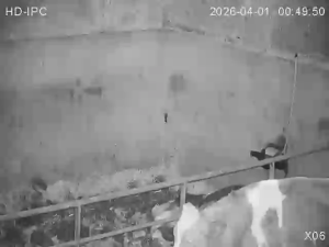 Caméra IP - Irlande