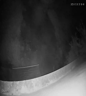 Caméra IP - Algerien