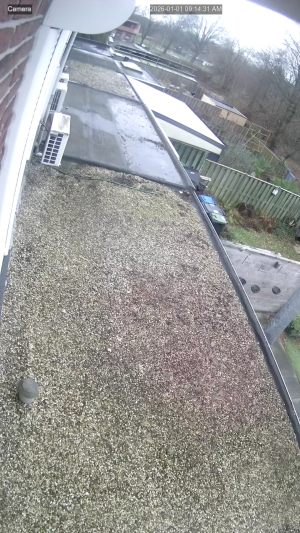 Caméra IP - Netherlands