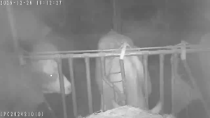 Caméra IP - Österrike