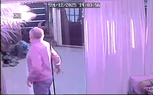 Caméra IP - Paesi Bassi