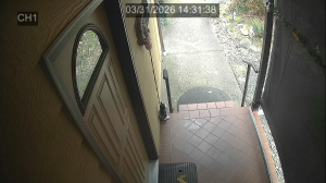 Caméra IP - United States of America