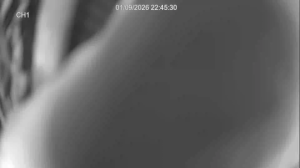 Caméra IP - United Kingdom