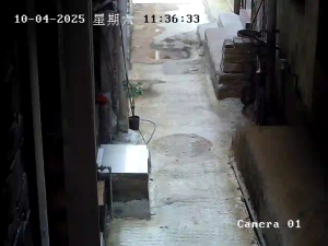 Caméra IP - Chine