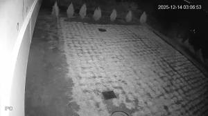 Caméra IP - Corée du Sud