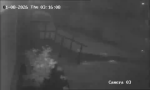 Caméra IP - Australie