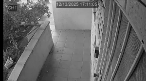 Caméra IP - Vereinigte Staaten von Amerika