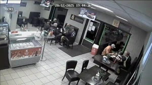 Caméra IP - Norvegia