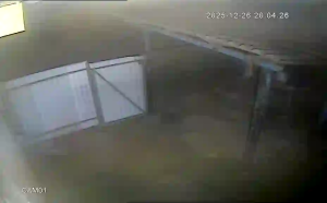 Caméra IP - Ukraina