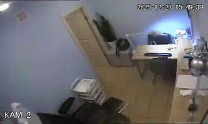 Caméra IP - Russische Föderation