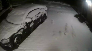 Caméra IP - Polonia