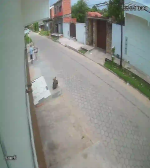 Caméra IP - Bolivie