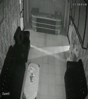 Caméra IP - Indonésie