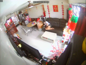 Caméra IP - Singapore