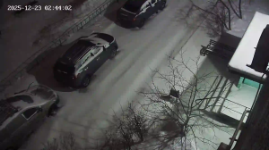 Caméra IP - Russian Federation