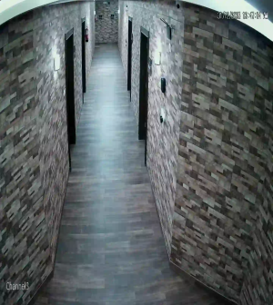 Caméra IP - Saudi Arabia