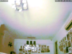 Caméra IP - Singapore