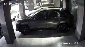 Caméra IP - Georgia