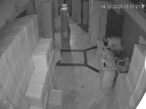 Caméra IP - Estados Unidos