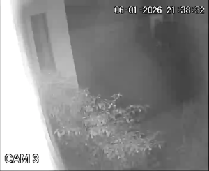 Caméra IP - Australia