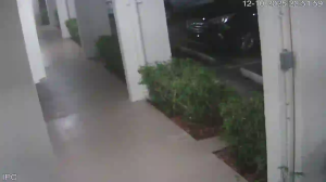 Caméra IP - Stati Uniti d'America