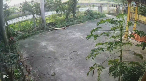 Caméra IP - Vietnam