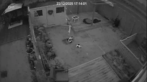 Caméra IP - Reino Unido