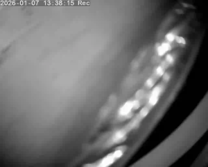 Caméra IP - Taiwan, Province of China