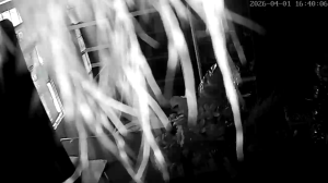 Caméra IP - Colombie