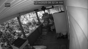 Caméra IP - United States of America