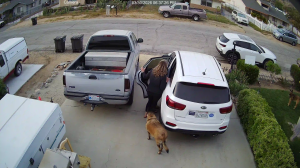 Caméra IP - United States of America