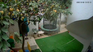 Caméra IP - Argelia