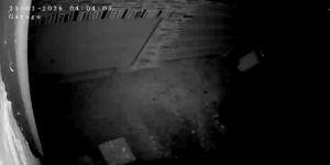 Caméra IP - Belgique