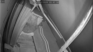 Caméra IP - Singapur